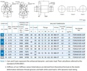 FSIN2505B-4.0P Ballscrew Nut