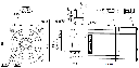 ELM1H-1000MA80F Motor