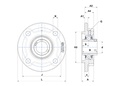 UCFC205 Bearing unit