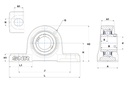 UCP206 Bearing unit