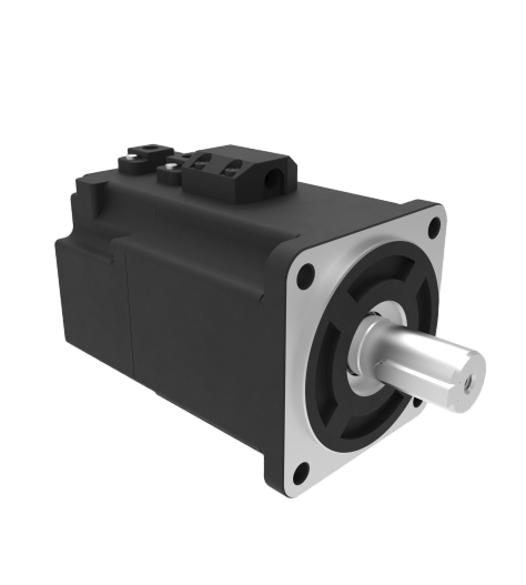 ELVM80100V48EH-M17-HD DC Variklis