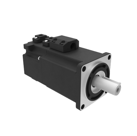 ELVM6020V48EH-M17-HD Motor